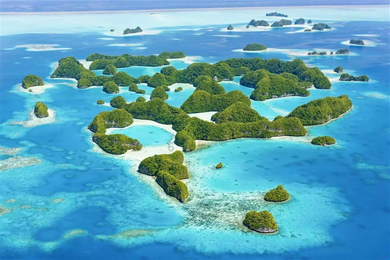 宝宝适合养哪些动物，安全又卫生，宝妈们记牢了？游戏画面